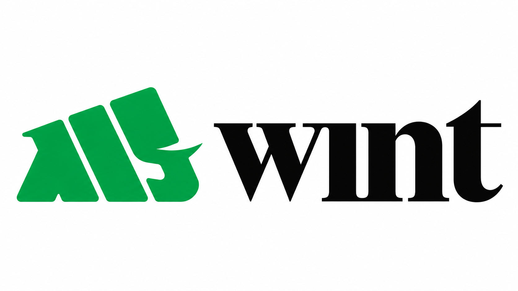 Wint Wealth चा लोगो